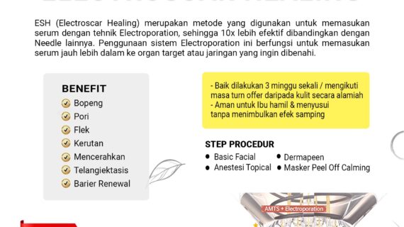 ELECTROSCAR HEALING